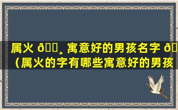 属火 🌸 寓意好的男孩名字 🦁 （属火的字有哪些寓意好的男孩）